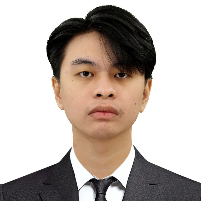 Professional Profile