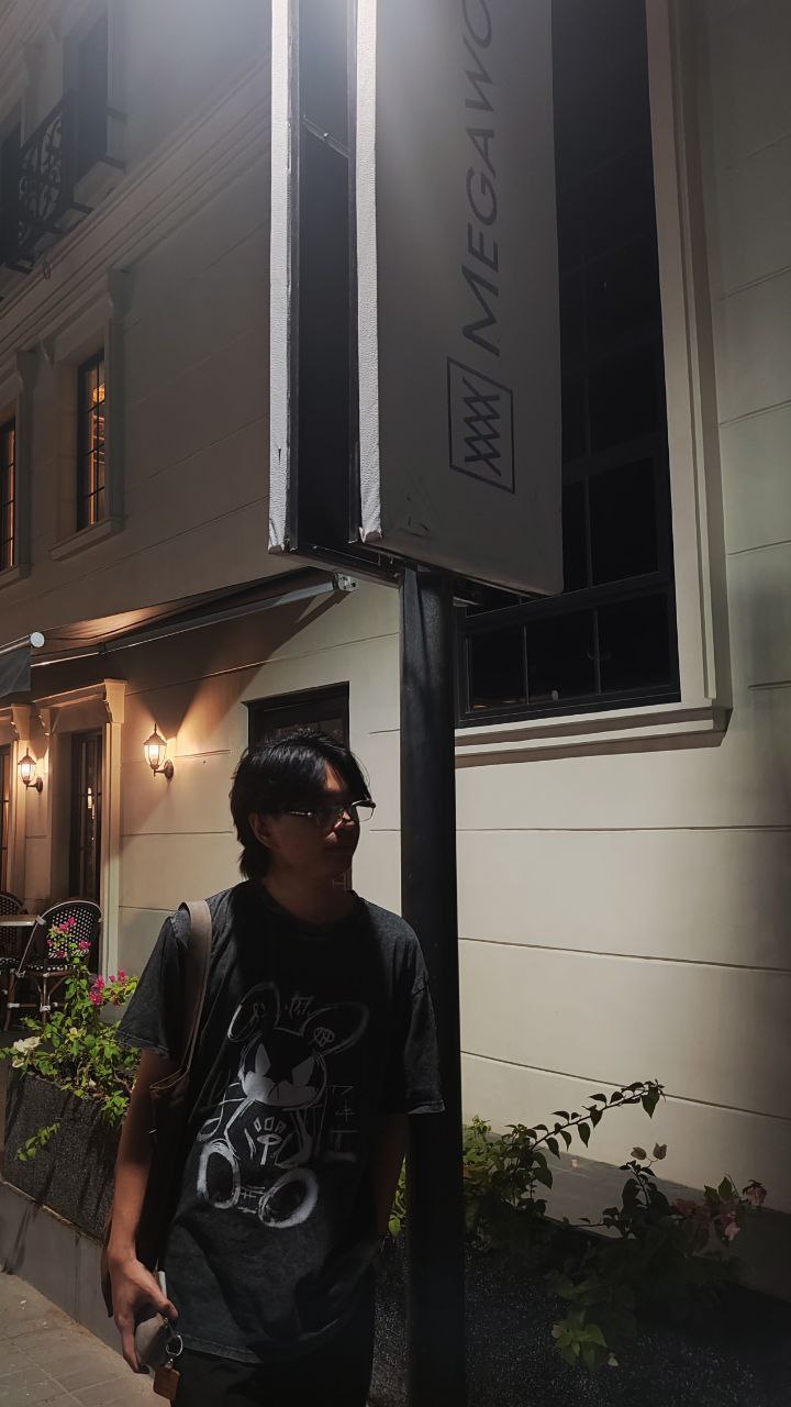 Professional Portrait